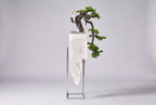 The Rivulet Fountain, studio full